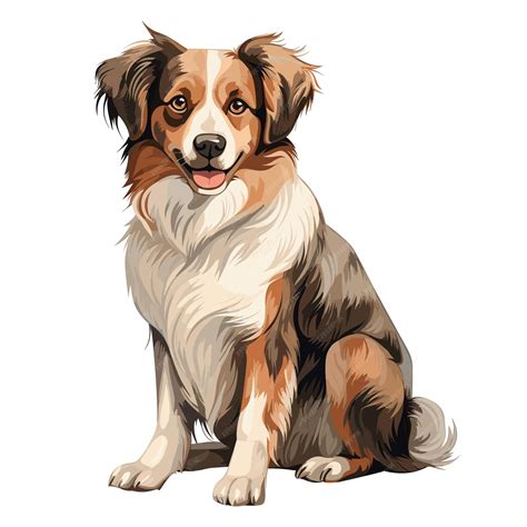 Ilustración de un perro adulto de 4 años.