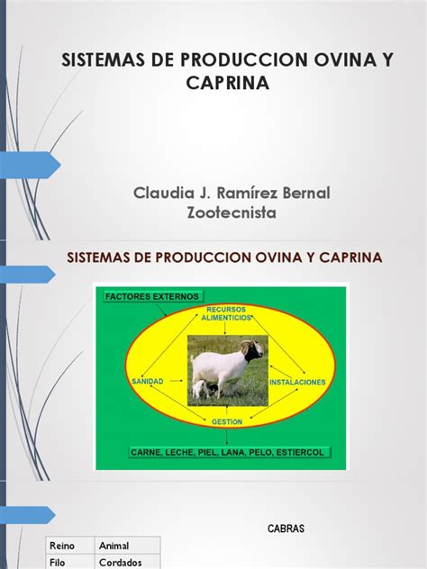 Infografía comparativa de sistemas de producción ovina: intensivo vs. extensivo