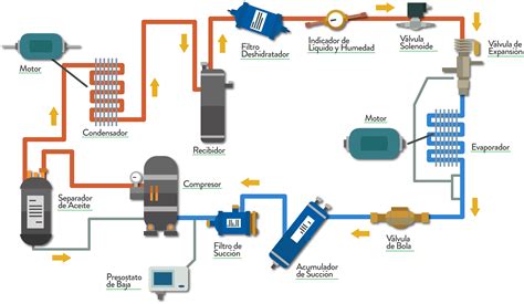 Esquema del flujo de aire y humedad en un horno moderno