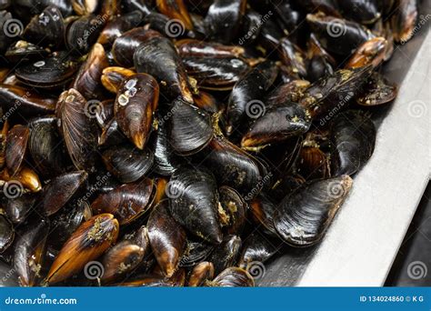 Mejillones frescos en un mercado