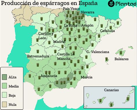 Mapa de zonas de crecimiento de espárragos trigueros en España