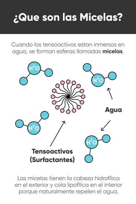 Esquema de cómo funcionan las micelas en el agua micelar