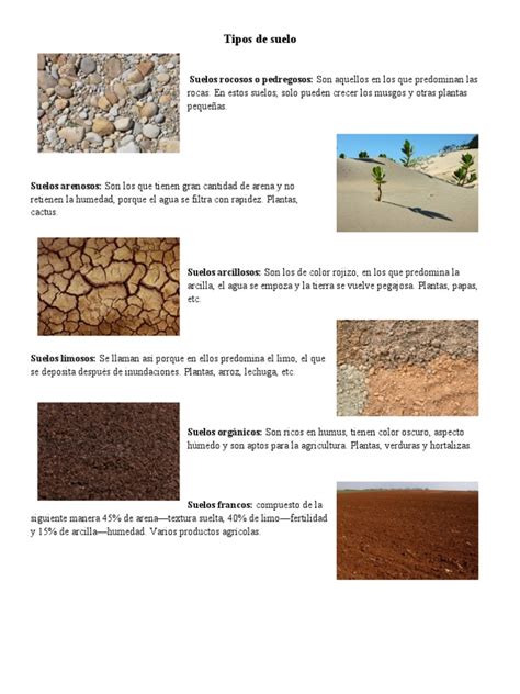 Diferentes tipos de suelo y sus características