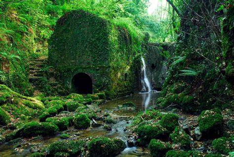 Campo de legumbres en el País Vasco