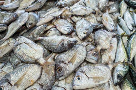 Pescado fresco en un mercado