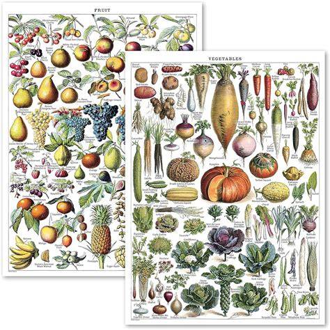 Ilustraciones vintage de frutas y verduras