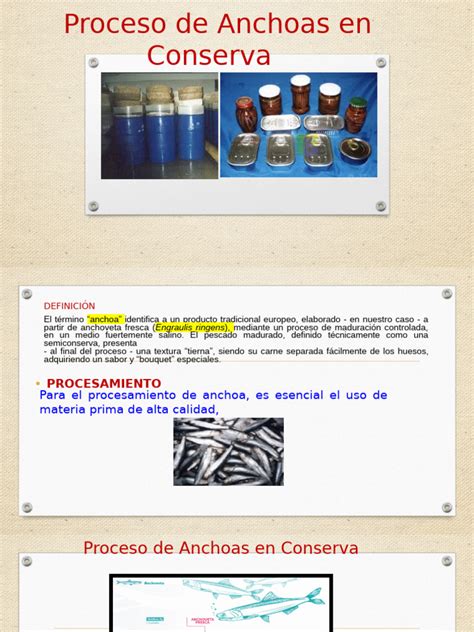 Proceso de elaboración de anchoas en conserva