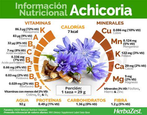 Raíz de achicoria y sus beneficios para la salud