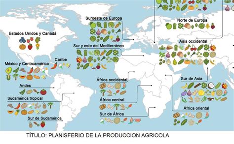 Mapa de los principales países productores y consumidores de achicoria