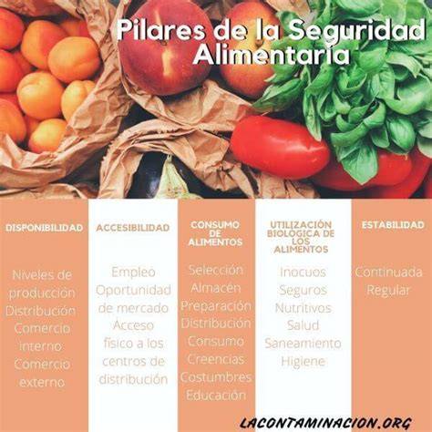 Gráfico de los pilares de la seguridad alimentaria en la panadería