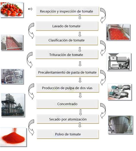 Esquema del proceso de producción industrial del puré de tomate