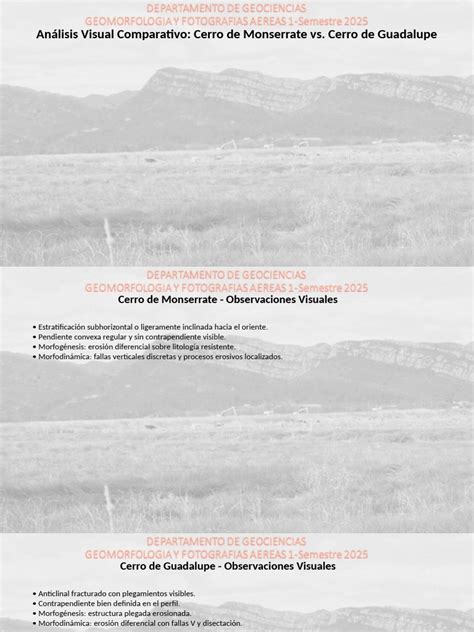 Comparativa visual: Colmipala vs. Talbuk vs. Elekk