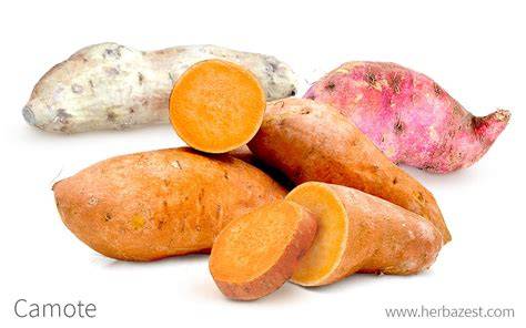Variedades de batata (boniato, camote) y patata