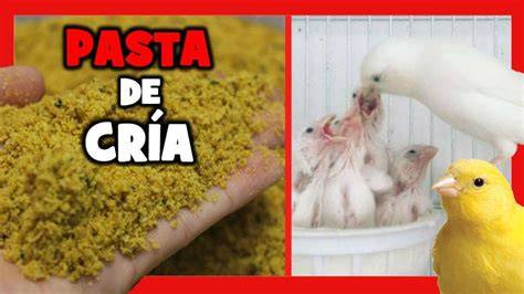 Ingredientes para la preparación de la pasta de cría para canarios: cuscús, pasta de cría, vitaminas y verduras liofilizadas.