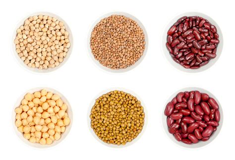 Ilustración de lentejas, frijoles, garbanzos y otras legumbres.