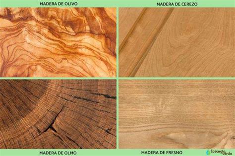 Mapa de procedencia de las maderas exóticas más usadas
