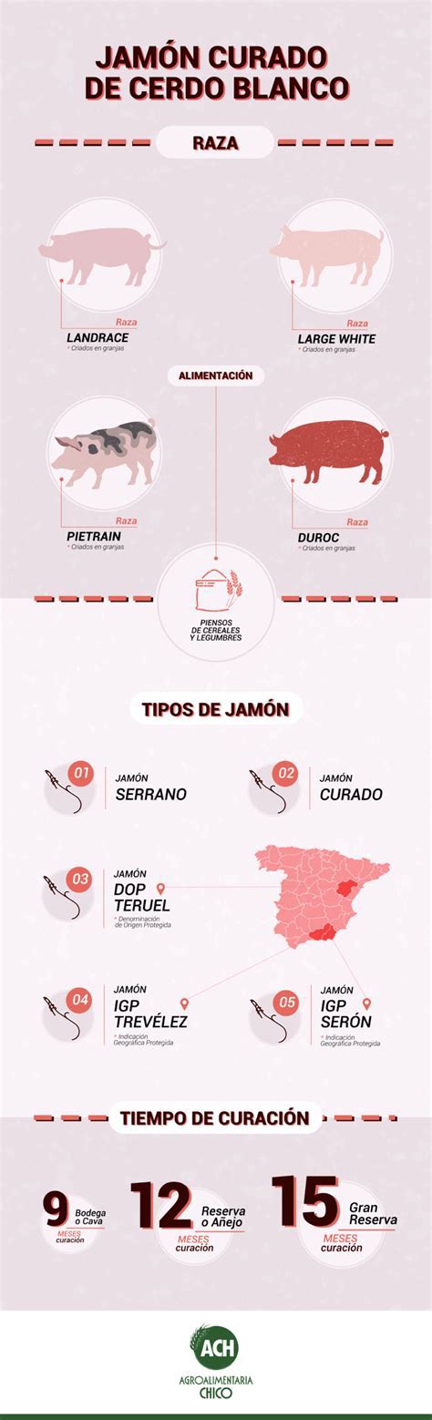 Tabla comparativa de tiempos de curación de jamones según D.O.