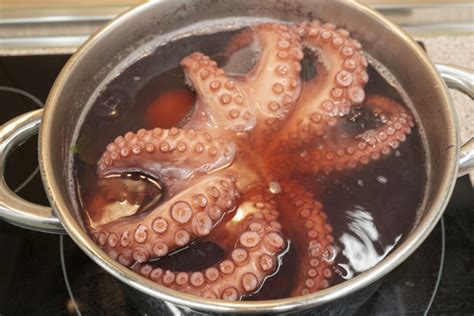 Pulpo reposando en su olla después de la cocción