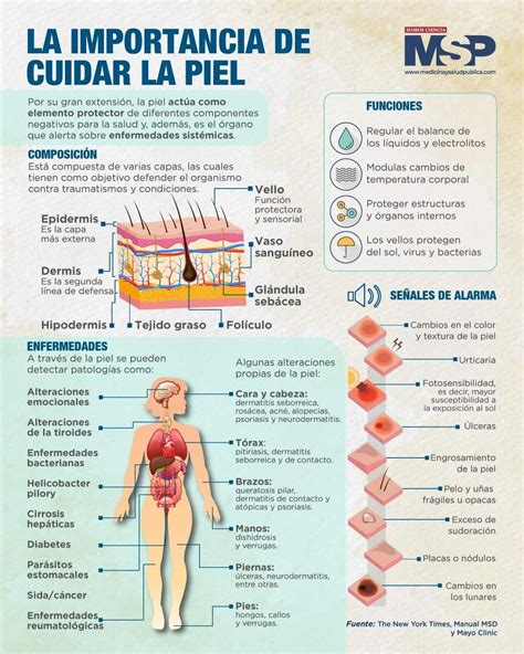 Infografía: Ventajas de la piel en accesorios