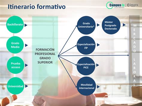 Diagrama de itinerarios de formación profesional