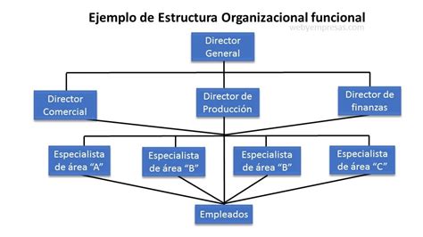 Estructura organizacional de la empresa JAMONES ECOLOGICOS DE JABUGO SL