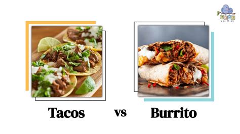 Infografía comparando burritos, tacos, fajitas y quesadillas