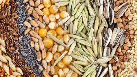 Variedad de semillas para añadir al pan