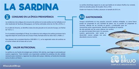Infografía con los beneficios de las sardinas y la zanahoria