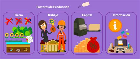 Factores que influyen en la producción de micotoxinas