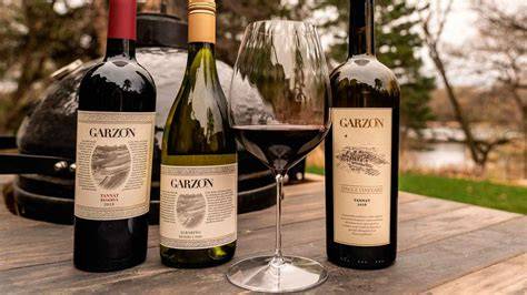 Vinos Tannat de Uruguay