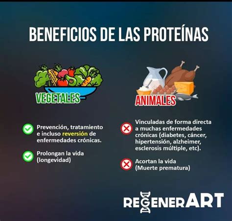 Infografía sobre los beneficios de las proteínas de la pechuga de pavo
