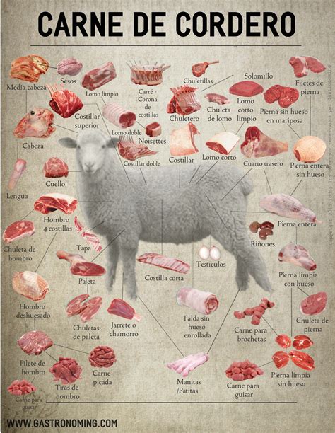 Variedad de cortes de cordero para barbacoa