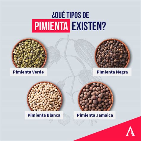 Ilustración de diferentes tipos de fundas para spray de pimienta