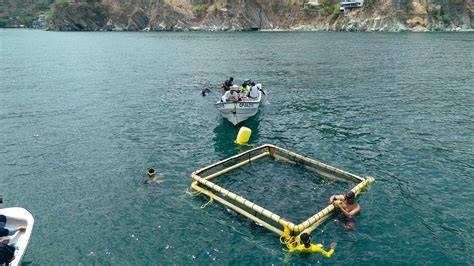 Instalación de cultivo de peces en balsas jaula