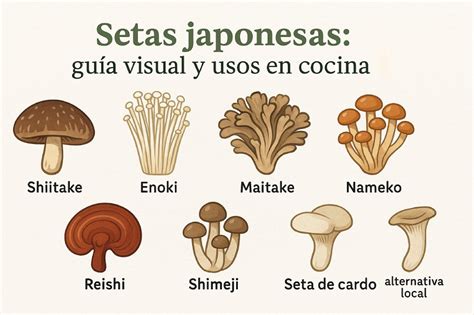 Variedades de setas chinas comestibles