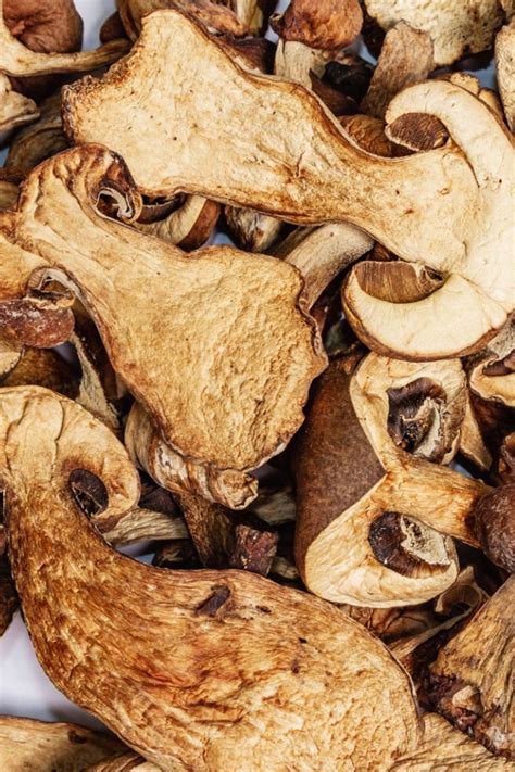 Boletus deshidratados y frescos