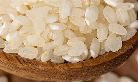 Arroz de grano corto crudo y cocido