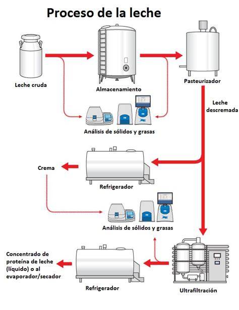 Proceso de pasteurización y homogeneización de la leche