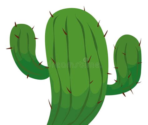 Ilustración de un cactus con espinas y sin costillas
