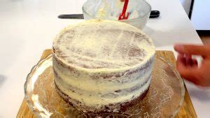 Torta con capa recogemigas