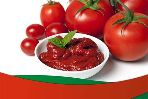 Tomates frescos y concentrado de tomate