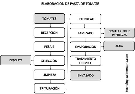 Proceso de elaboración de tomate concentrado casero