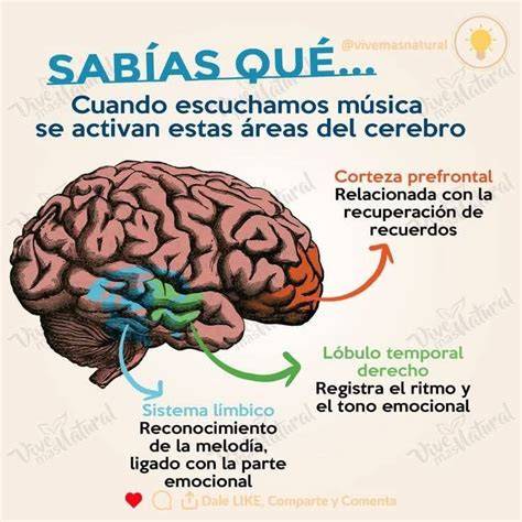 Regiones cerebrales activadas durante el placer