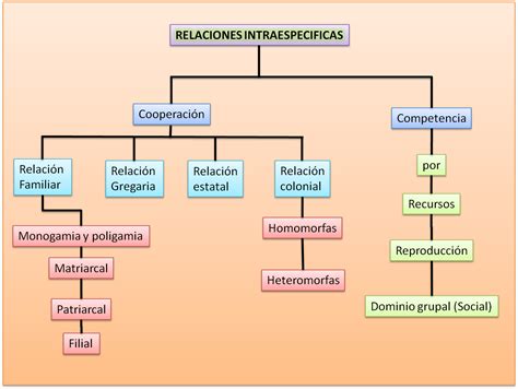 Esquema de las relaciones entre los principales implicados en la trama