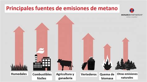 Gráfico de los componentes del gas metano