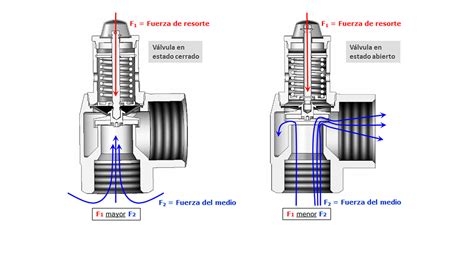 Esquema de las válvulas de seguridad de la olla eléctrica