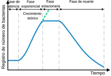 Gráfico de curvas de crecimiento bacteriano