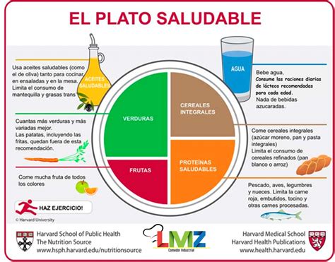 Plato de Harvard con alimentos saludables