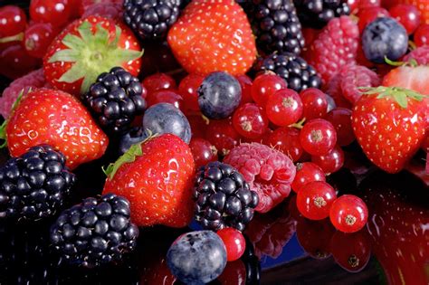 Frutos del bosque variados