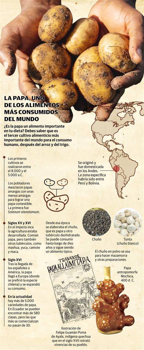 Mapa mostrando el origen de la papa en América del Sur y su ruta hacia Europa